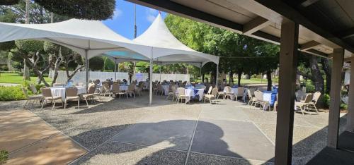 KIM.EJ1_.20240727104116-scaled